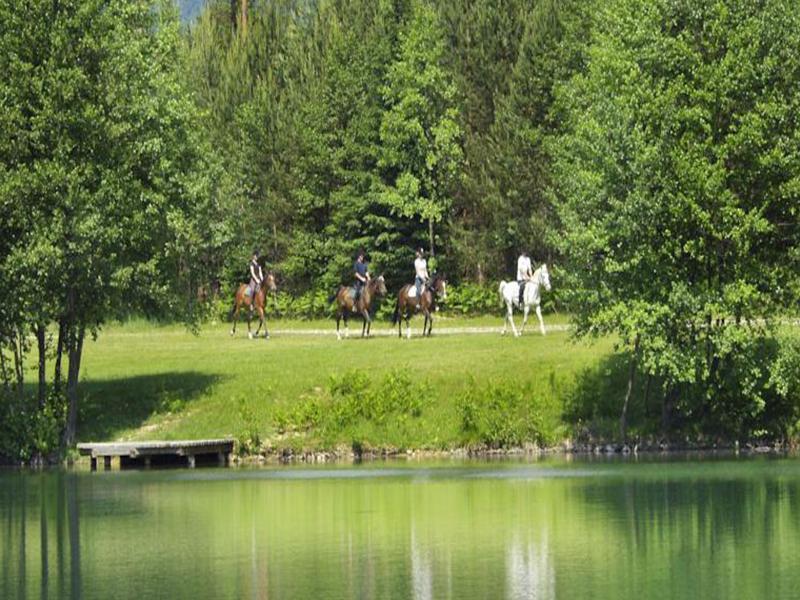 Elegans Hotel Brdo Kranj Ngoại thất bức ảnh